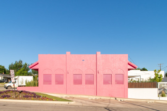 Flamingo Tiki
