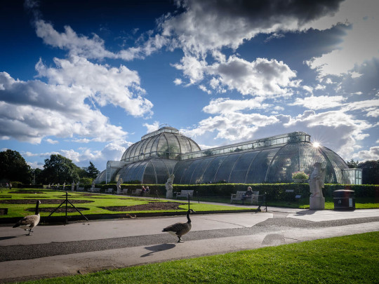 The Palm House at Kew