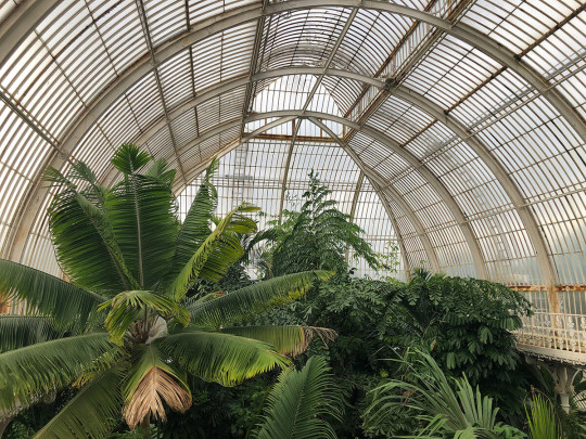 The Palm House at Kew