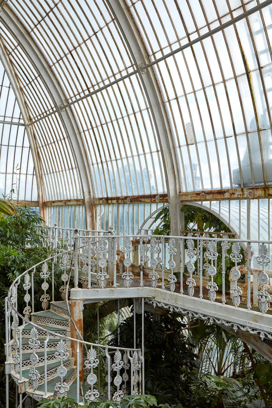 The Palm House at Kew