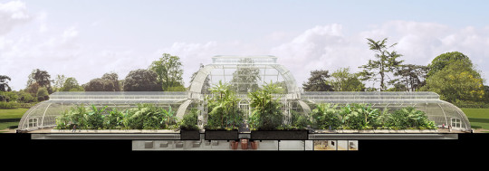 The Palm House at Kew