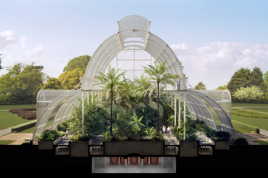 The Palm House at Kew