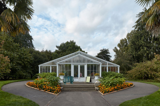 The Palm House at Kew