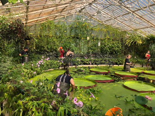 The Palm House at Kew