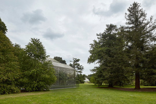 The Palm House at Kew