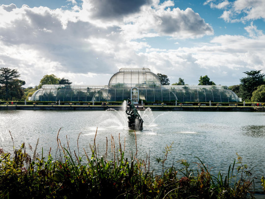 The Palm House at Kew