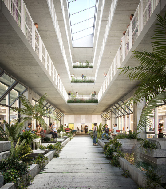 Cole Store, Sheffield