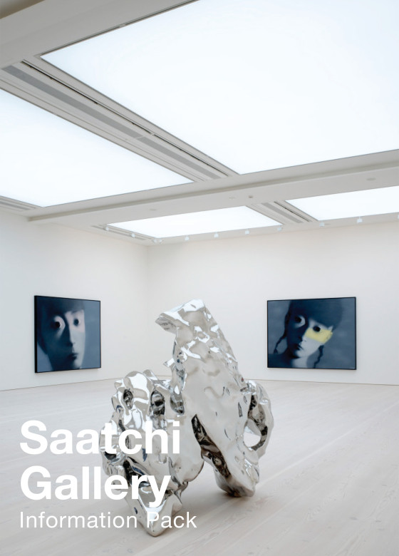 Saatchi Gallery