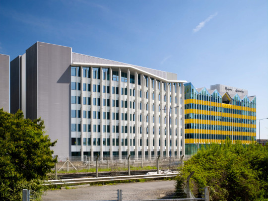 The White Building