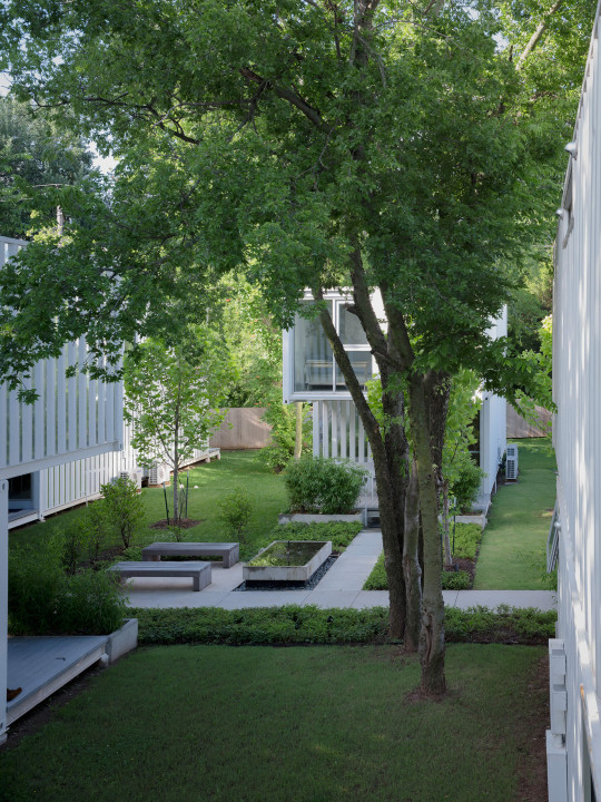 Squirrel Park