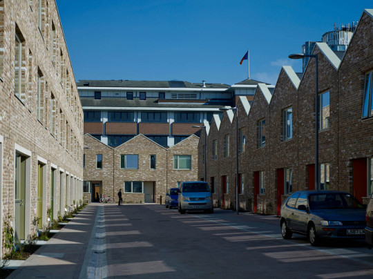 Anne Mews