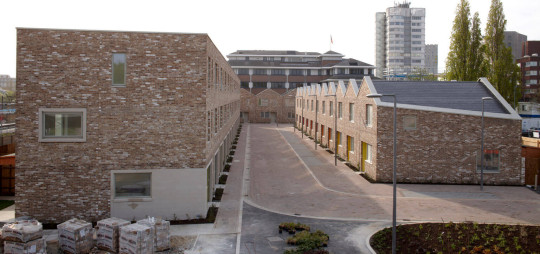 Anne Mews