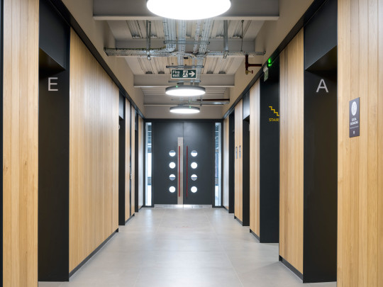 Two New Bailey