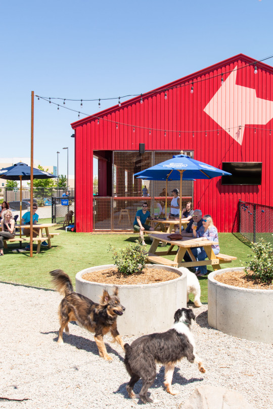 SOLO's Park and Pub