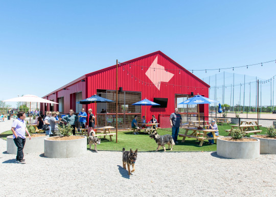SOLO's Park and Pub